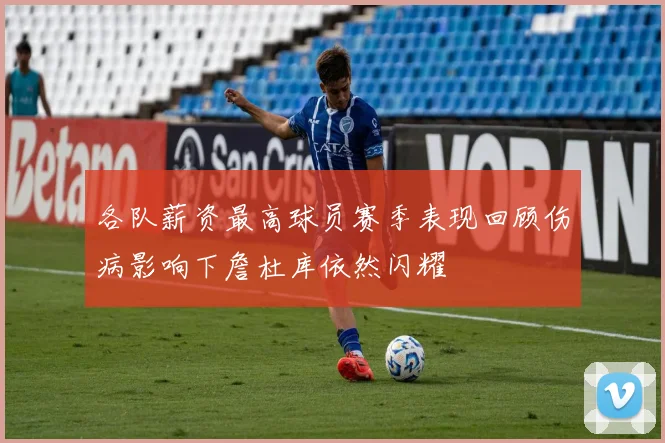 各队薪资最高球员赛季表现回顾伤病影响下詹杜库依然闪耀